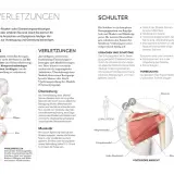 Schulterverletzungen beim Krafttraining: Was ist ein Satz im Gym? Überlastung, Risse und Entzündungen sind häufig. Vorbeugung durch gute Technik und Pausen.
