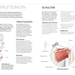 Schulterverletzungen beim Krafttraining: Was ist ein Satz im Gym? Überlastung, Risse und Entzündungen sind häufig. Vorbeugung durch gute Technik und Pausen.