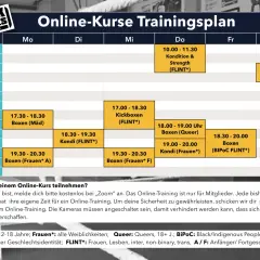 Trainingsplan für Online-Kurse mit Fokus auf ganzheitliches Training, inklusive Boxen, Kickboxen und Kondition für verschiedene Gruppen.