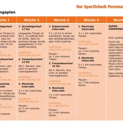 Trainingsplan Vorlage leer Word: 5-Wochen-Laufplan mit Grundlagenläufen, Intervallen und Tempodauerläufen. Woche 5 ist Erholung.