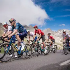 Fahrer im Peloton der Tour de France kämpfen sich bergauf. Die Frage "Tour de France wie viele Fahrer" wird hier durch die sichtbare Gruppe beantwortet.
