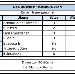 Ganzkörper-Trainingsplan für Anfänger: Übungen für Brust, Rücken, Arme, Beine mit Sätzen und Wiederholungen. Ideal für 2-3 Mal pro Woche.