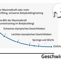 Kurve zeigt: Je höher die Kraft (z.B. 85% Maximalkraft im Powerlifting), desto geringer die Geschwindigkeit und die time under tension.