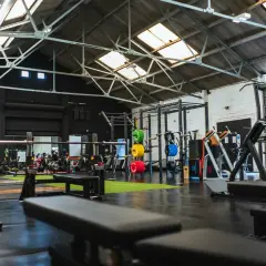 Gerät für Cardio und Muskelaufbau in einem modernen Fitnessstudio mit Hanteln, Gewichten und Trainingsbänken.