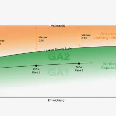 Diagramm zeigt Leistungsbereiche: GA1, GA2, aerobe Kapazität und anaerobe Leistungsfähigkeit. Der ga1 pulsbereich ist die Basis.