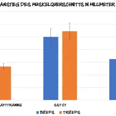 Balkendiagramm zeigt Muskelquerschnittszunahme in mm. SST-Training (SST-CT, SST-RIV) übertrifft traditionelles Krafttraining bei Bizeps und Trizeps.