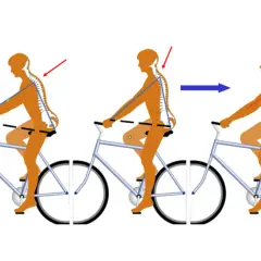 Optimale Haltung auf dem Fahrrad: Der richtige Abstand zwischen Sattel und Lenker für eine gesunde Wirbelsäule.