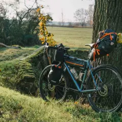 Gepäckträger-Fahrrad lehnt an Baum, bereit für Fahrradreisen Deutschland. Sonnenschein, Herbstlaub und eine kleine Brücke im Hintergrund.