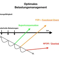 Diagramm zeigt, wie progressive Belastungen zu Superkompensation führen können. Überlastung (NFOR) ist das Gegenteil.