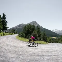 Radfahrer auf einer Schottertour in den Bergen, umgeben von Nadelbäumen und mit einem Gipfel im Hintergrund.