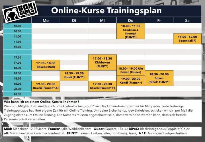 Trainingsplan für Online-Kurse mit Fokus auf ganzheitliches Training, inklusive Boxen, Kickboxen und Kondition für verschiedene Gruppen.
