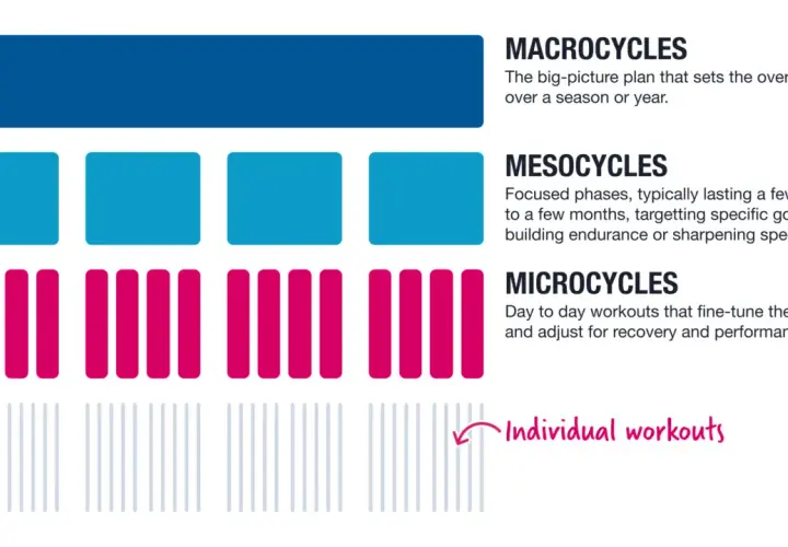 Grafische Darstellung der Periodisierung im Training: Makro-, Meso- und Mikrozyklen, die zu individuellen Workouts führen.