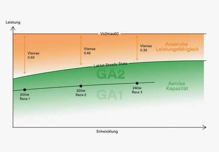 Diagramm zeigt Leistungsbereiche: GA1, GA2, aerobe Kapazität und anaerobe Leistungsfähigkeit. Der ga1 pulsbereich ist die Basis.