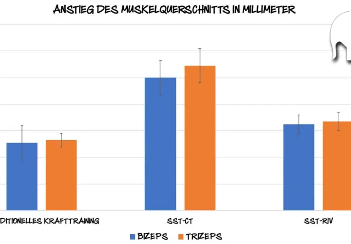 Balkendiagramm zeigt Muskelquerschnittszunahme in mm. SST-Training (SST-CT, SST-RIV) übertrifft traditionelles Krafttraining bei Bizeps und Trizeps.