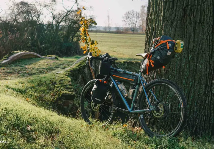 Gepäckträger-Fahrrad lehnt an Baum, bereit für Fahrradreisen Deutschland. Sonnenschein, Herbstlaub und eine kleine Brücke im Hintergrund.