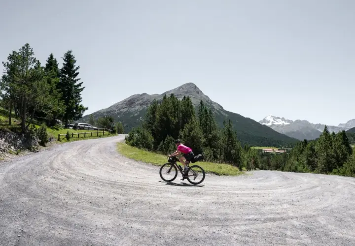 Radfahrer auf einer Schottertour in den Bergen, umgeben von Nadelbäumen und mit einem Gipfel im Hintergrund.