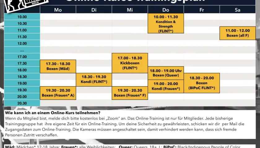 Trainingsplan für Online-Kurse mit Fokus auf ganzheitliches Training, inklusive Boxen, Kickboxen und Kondition für verschiedene Gruppen.