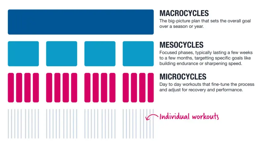 Grafische Darstellung der Periodisierung im Training: Makro-, Meso- und Mikrozyklen, die zu individuellen Workouts führen.