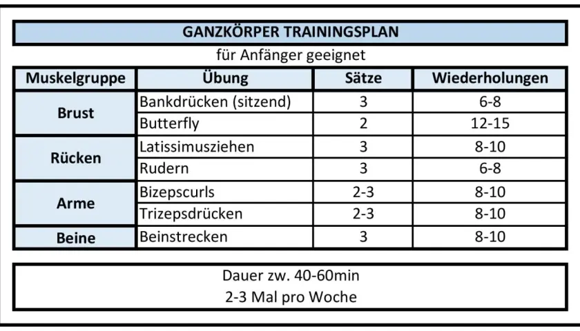 Ganzkörper-Trainingsplan für Anfänger: Übungen für Brust, Rücken, Arme, Beine mit Sätzen und Wiederholungen. Ideal für 2-3 Mal pro Woche.