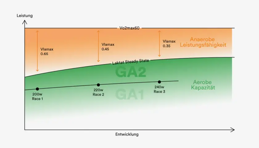 Diagramm zeigt Leistungsbereiche: GA1, GA2, aerobe Kapazität und anaerobe Leistungsfähigkeit. Der ga1 pulsbereich ist die Basis.