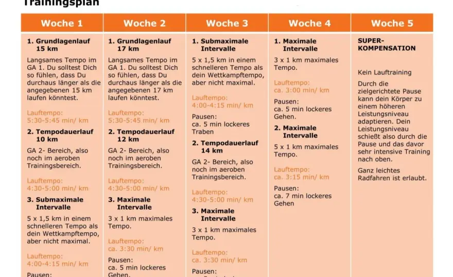 Trainingsplan als Word-Vorlage - klar, einfach, effektiv
