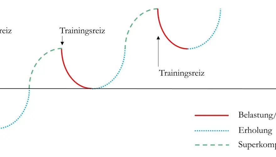 Superkompensation richtig nutzen - wann Training und Pause passen
