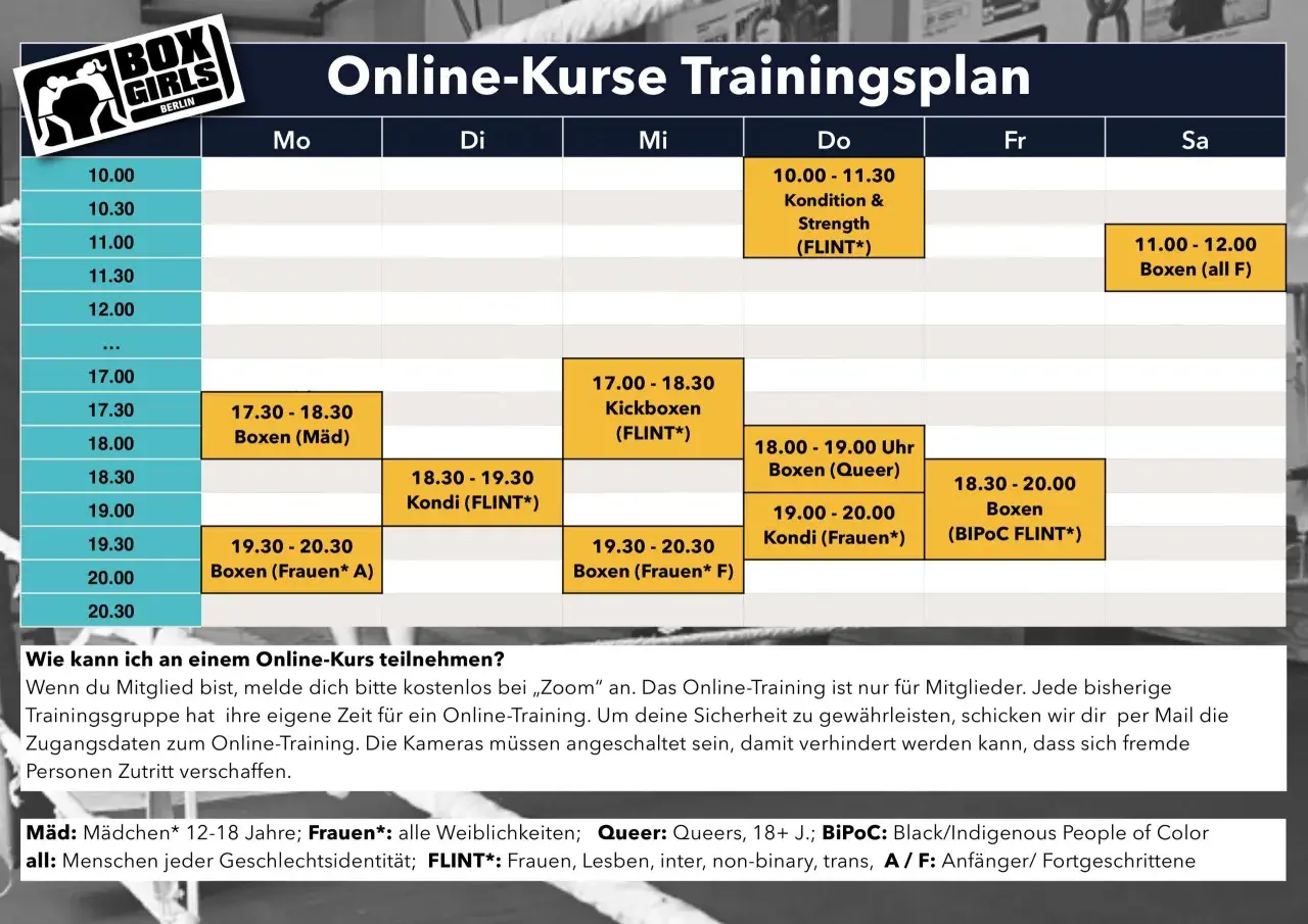 Trainingsplan für Online-Kurse mit Fokus auf ganzheitliches Training, inklusive Boxen, Kickboxen und Kondition für verschiedene Gruppen.
