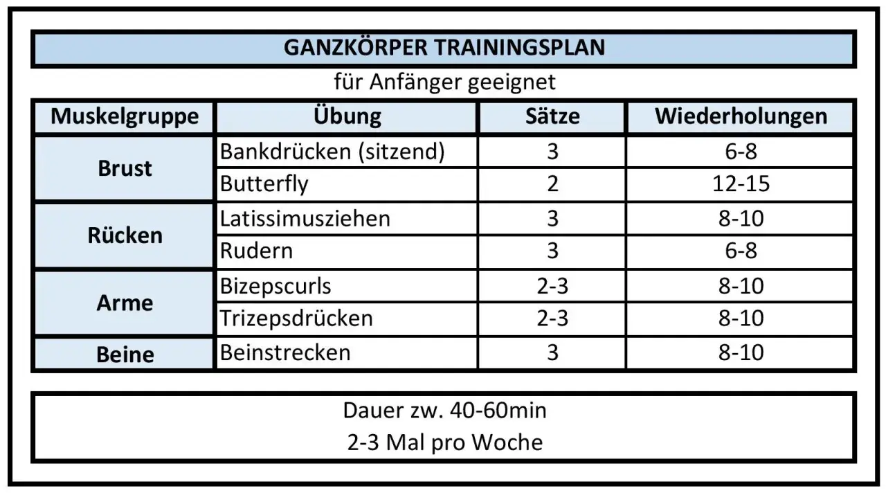 Ganzkörper-Trainingsplan für Anfänger: Übungen für Brust, Rücken, Arme, Beine mit Sätzen und Wiederholungen. Ideal für 2-3 Mal pro Woche.