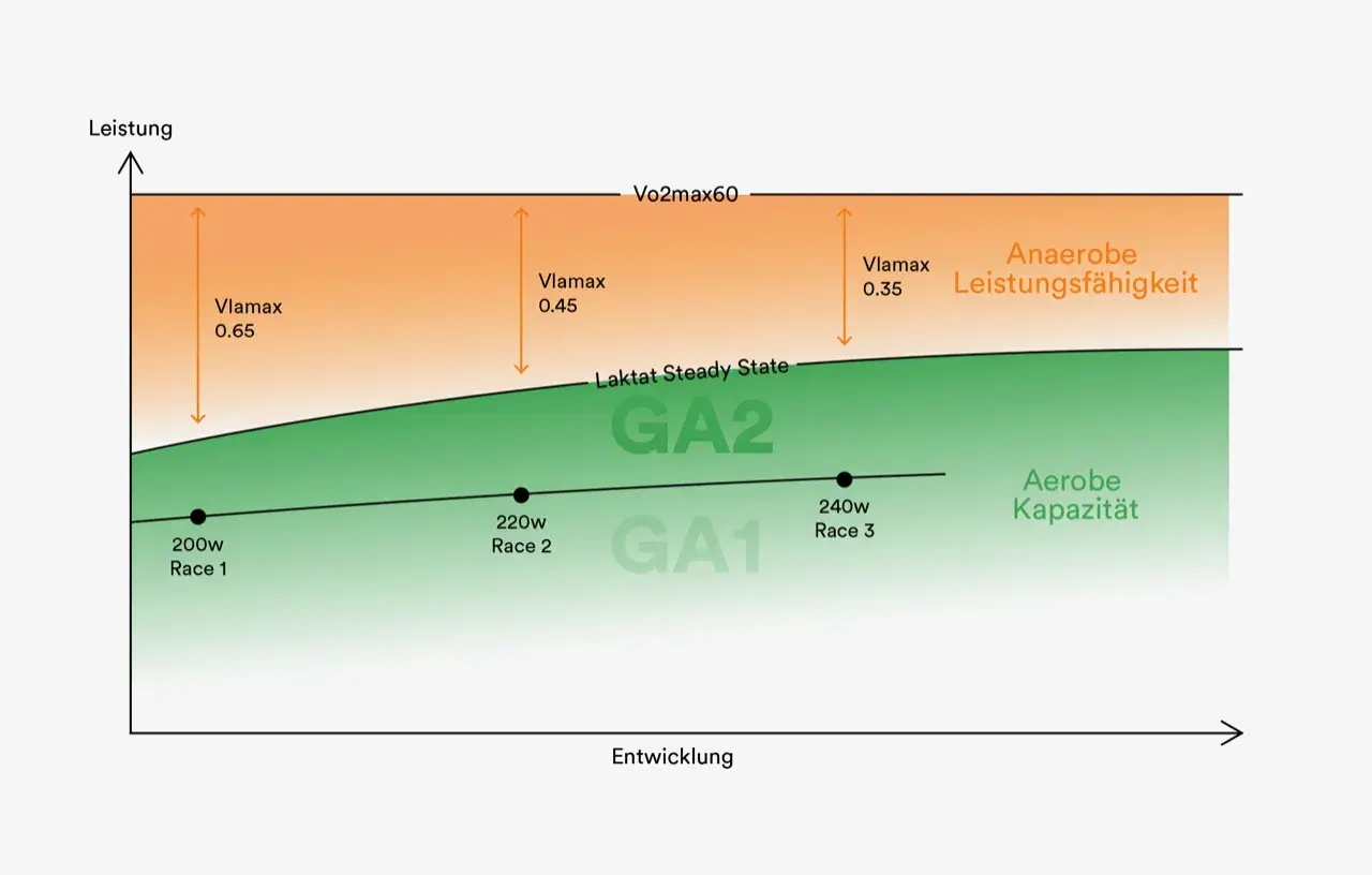 Diagramm zeigt Leistungsbereiche: GA1, GA2, aerobe Kapazität und anaerobe Leistungsfähigkeit. Der ga1 pulsbereich ist die Basis.