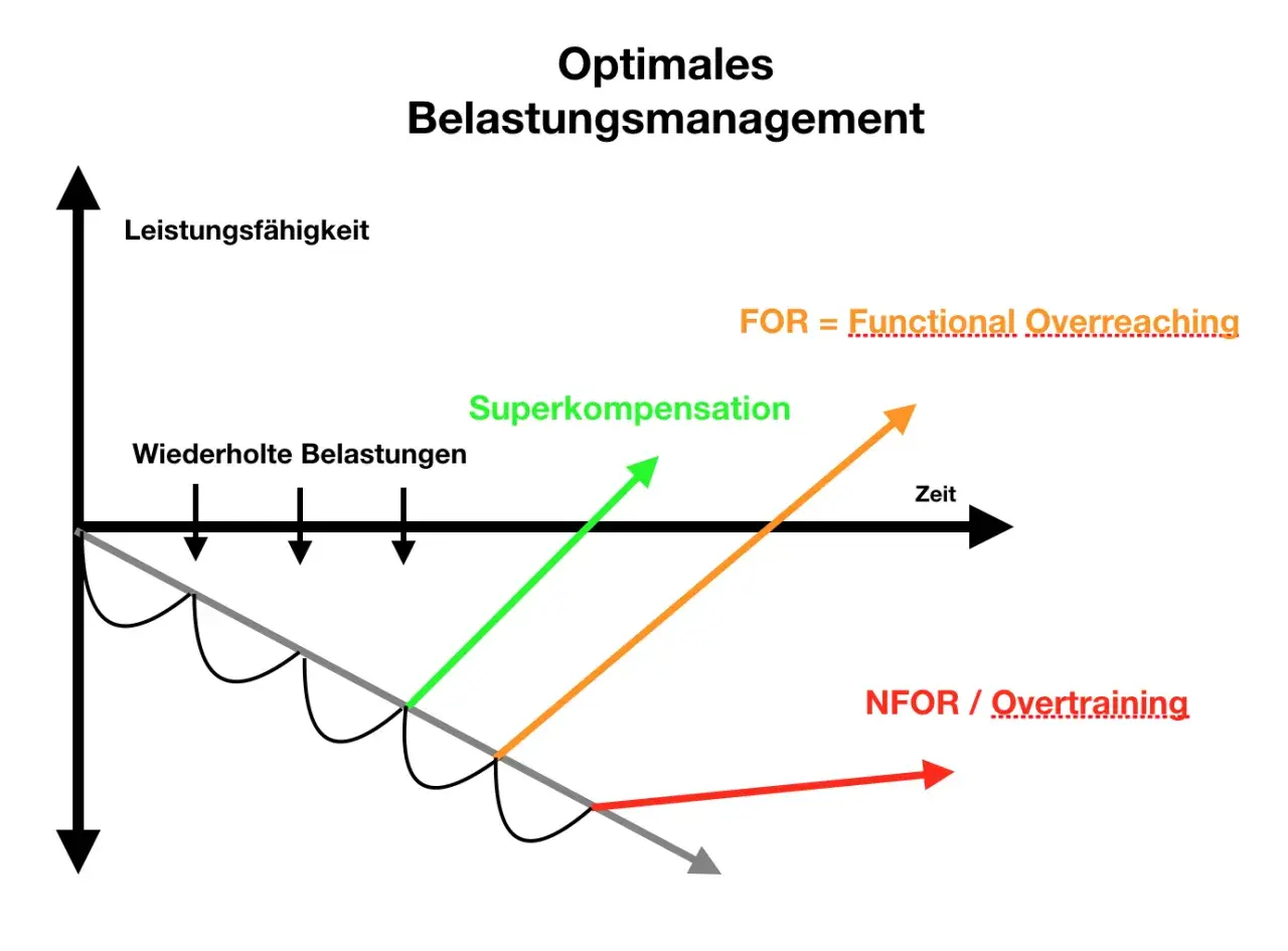Diagramm zeigt, wie progressive Belastungen zu Superkompensation führen können. Überlastung (NFOR) ist das Gegenteil.