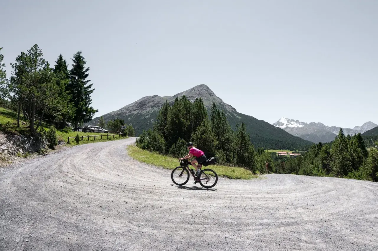 Radfahrer auf einer Schottertour in den Bergen, umgeben von Nadelbäumen und mit einem Gipfel im Hintergrund.