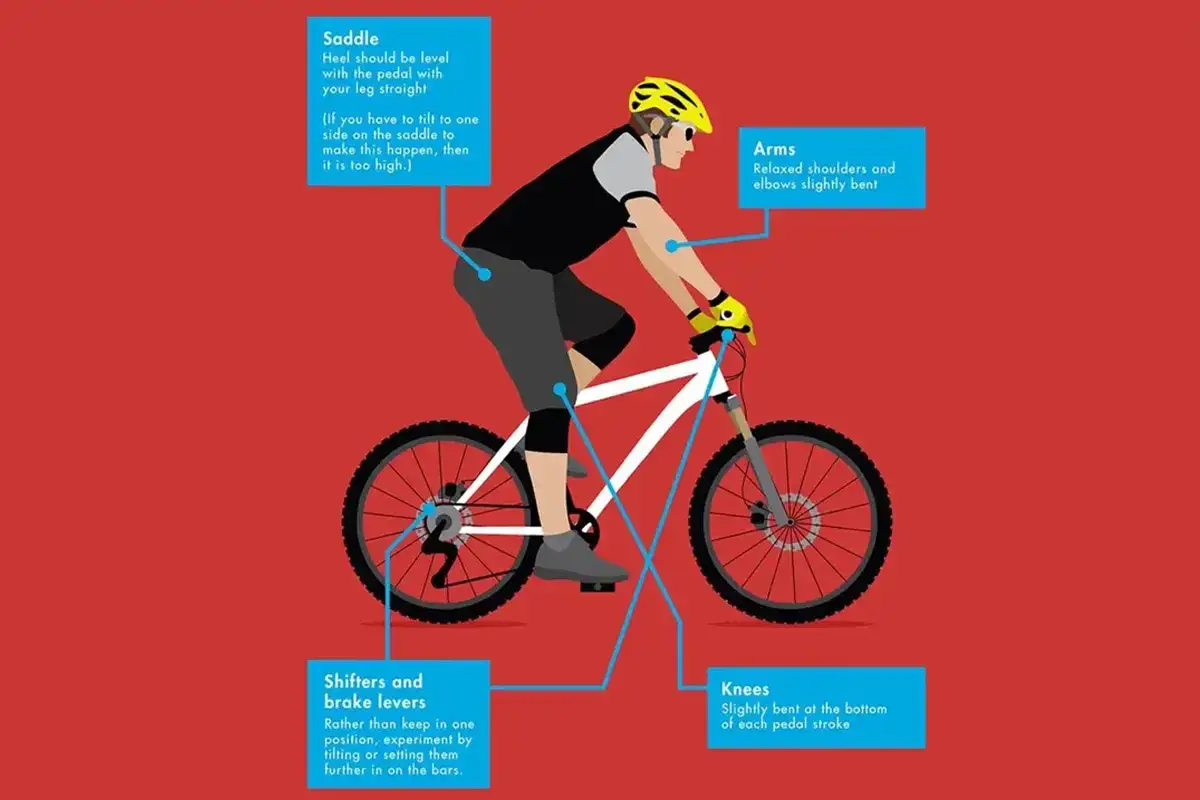 Illustration zeigt die richtige Sitzposition Fahrrad: Sattelh&ouml;he, Armhaltung, Kniebeugung und Hebelposition f&uuml;r optimales Fahren.