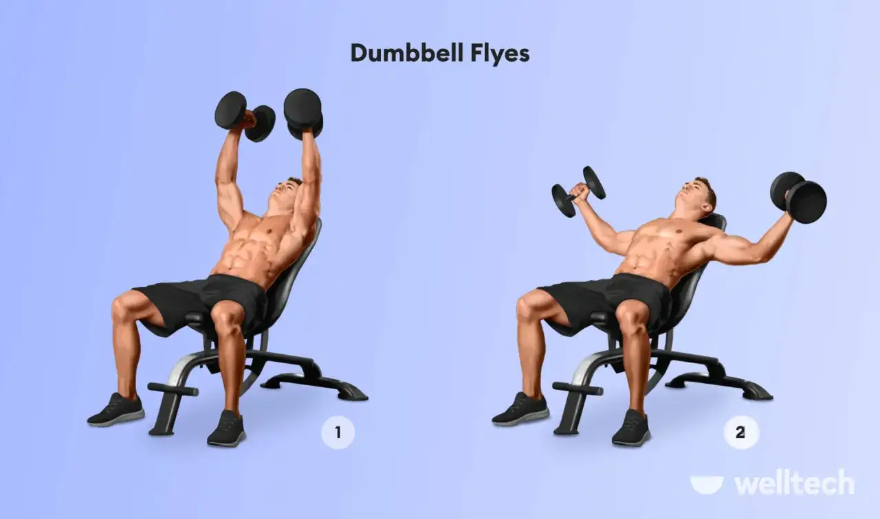 Mann macht Kurzhantel-Fliegen auf einer Schrägbank für effektives Brusttraining.
